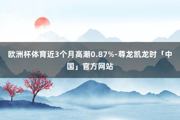欧洲杯体育近3个月高潮0.87%-尊龙凯龙时「中国」官方网站
