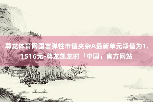 尊龙体育网国富弹性市值夹杂A最新单元净值为1.1516元-尊龙凯龙时「中国」官方网站
