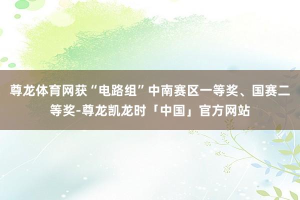 尊龙体育网获“电路组”中南赛区一等奖、国赛二等奖-尊龙凯龙时「中国」官方网站