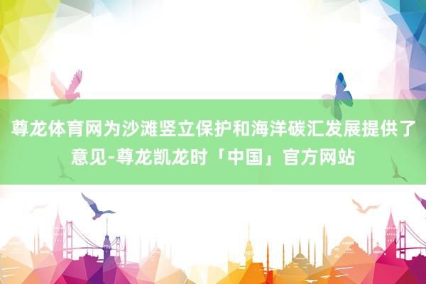 尊龙体育网为沙滩竖立保护和海洋碳汇发展提供了意见-尊龙凯龙时「中国」官方网站