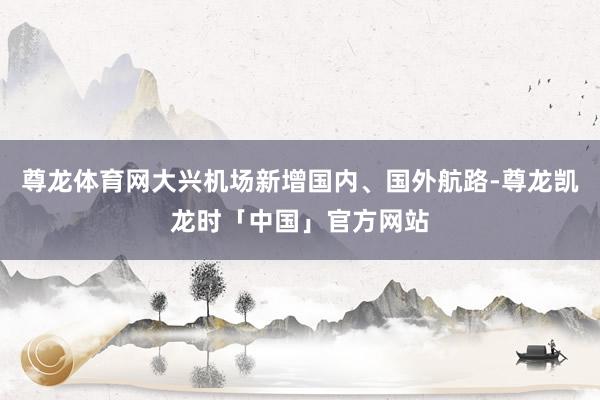 尊龙体育网大兴机场新增国内、国外航路-尊龙凯龙时「中国」官方网站