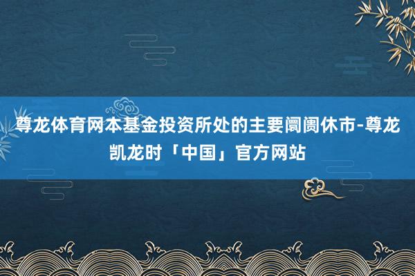 尊龙体育网本基金投资所处的主要阛阓休市-尊龙凯龙时「中国」官方网站