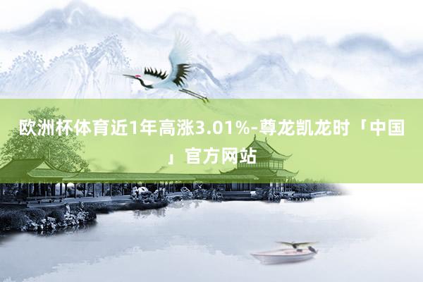 欧洲杯体育近1年高涨3.01%-尊龙凯龙时「中国」官方网站