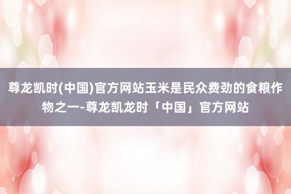 尊龙凯时(中国)官方网站玉米是民众费劲的食粮作物之一-尊龙凯龙时「中国」官方网站