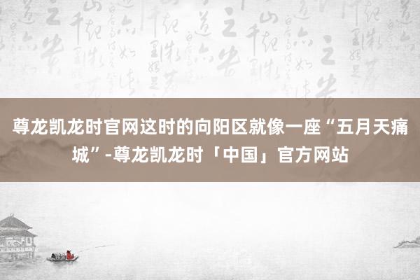 尊龙凯龙时官网这时的向阳区就像一座“五月天痛城”-尊龙凯龙时「中国」官方网站