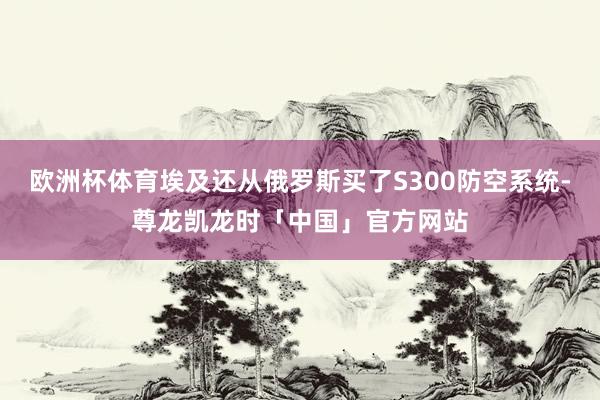 欧洲杯体育埃及还从俄罗斯买了S300防空系统-尊龙凯龙时「中国」官方网站
