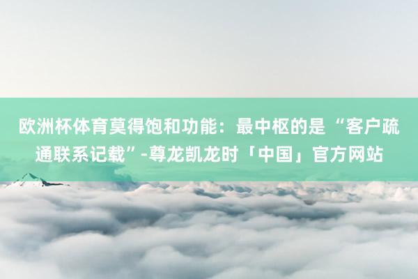 欧洲杯体育莫得饱和功能：最中枢的是 “客户疏通联系记载”-尊龙凯龙时「中国」官方网站
