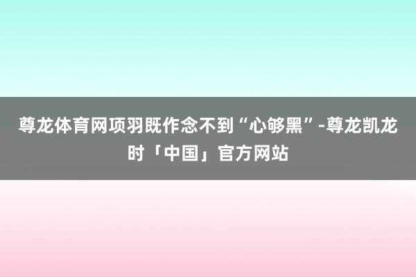尊龙体育网项羽既作念不到“心够黑”-尊龙凯龙时「中国」官方网站