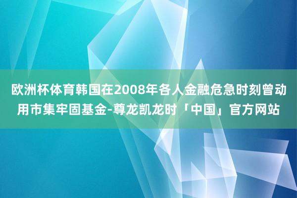 欧洲杯体育韩国在2008年各人金融危急时刻曾动用市集牢固基金-尊龙凯龙时「中国」官方网站