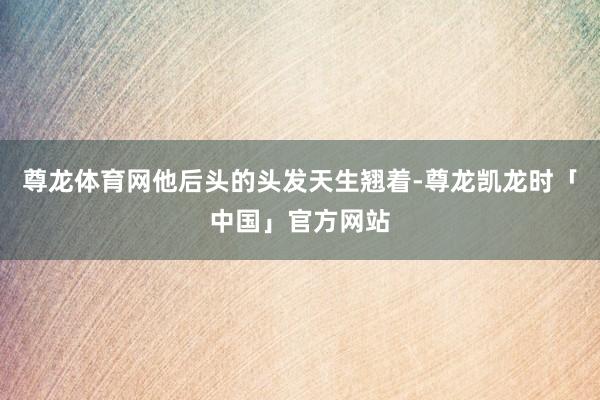 尊龙体育网他后头的头发天生翘着-尊龙凯龙时「中国」官方网站