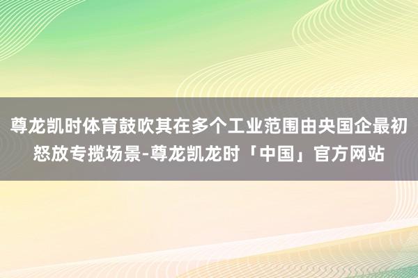 尊龙凯时体育鼓吹其在多个工业范围由央国企最初怒放专揽场景-尊龙凯龙时「中国」官方网站