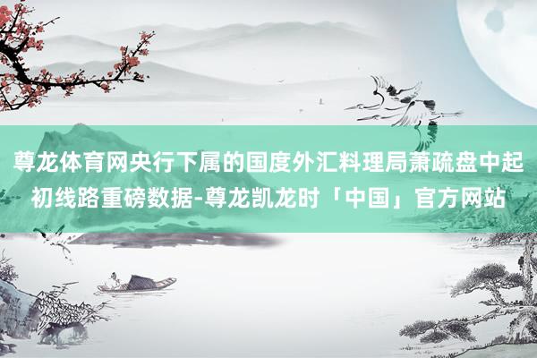 尊龙体育网央行下属的国度外汇料理局萧疏盘中起初线路重磅数据-尊龙凯龙时「中国」官方网站
