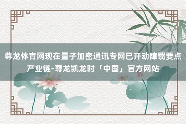 尊龙体育网现在量子加密通讯专网已开动障翳要点产业链-尊龙凯龙时「中国」官方网站