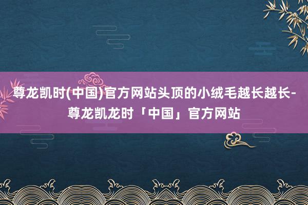 尊龙凯时(中国)官方网站头顶的小绒毛越长越长-尊龙凯龙时「中国」官方网站