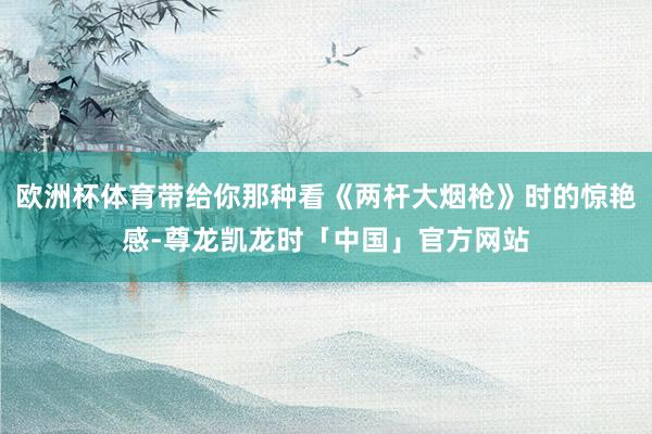 欧洲杯体育带给你那种看《两杆大烟枪》时的惊艳感-尊龙凯龙时「中国」官方网站