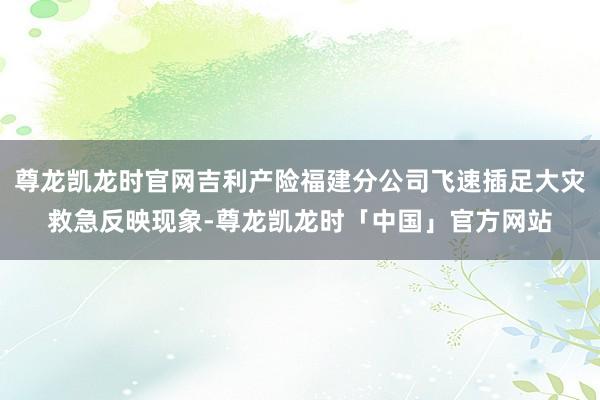 尊龙凯龙时官网吉利产险福建分公司飞速插足大灾救急反映现象-尊龙凯龙时「中国」官方网站