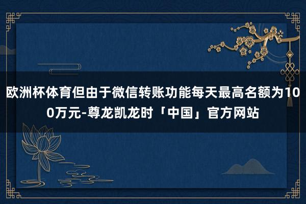 欧洲杯体育但由于微信转账功能每天最高名额为100万元-尊龙凯龙时「中国」官方网站