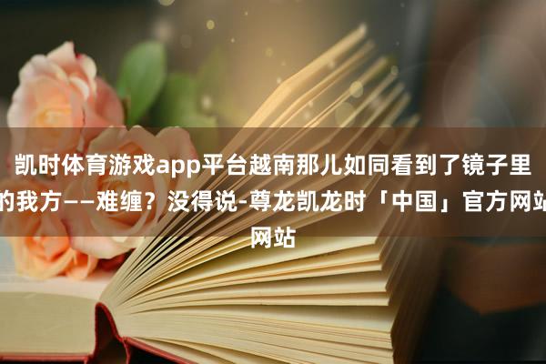 凯时体育游戏app平台越南那儿如同看到了镜子里的我方——难缠？没得说-尊龙凯龙时「中国」官方网站