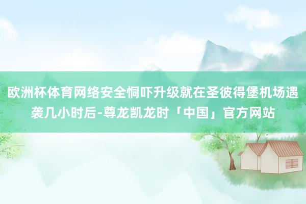 欧洲杯体育网络安全恫吓升级就在圣彼得堡机场遇袭几小时后-尊龙凯龙时「中国」官方网站