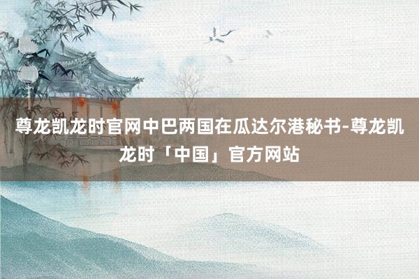 尊龙凯龙时官网中巴两国在瓜达尔港秘书-尊龙凯龙时「中国」官方网站