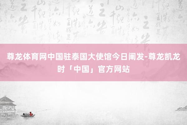 尊龙体育网中国驻泰国大使馆今日阐发-尊龙凯龙时「中国」官方网站