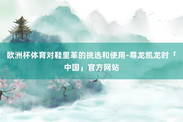 欧洲杯体育对鞋里革的挑选和使用-尊龙凯龙时「中国」官方网站