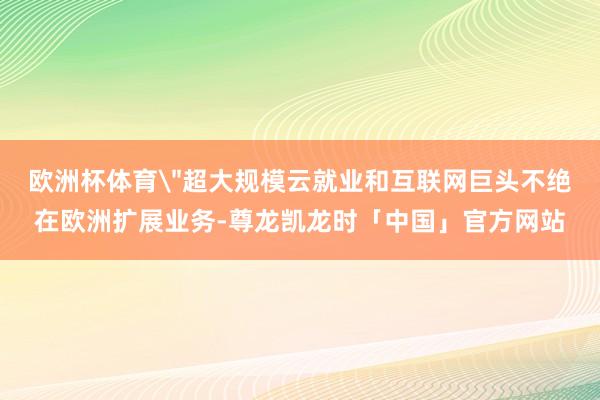 欧洲杯体育